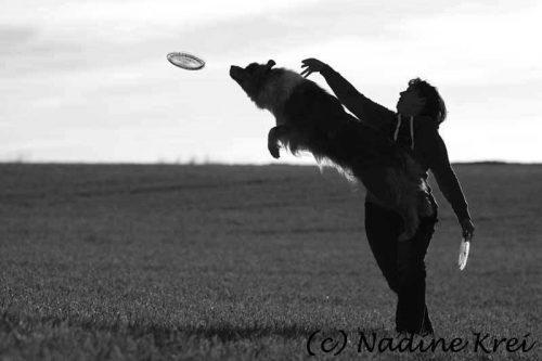 Dog-Frisbee Workshop mit Nadine Krei @ Uelzen - Niedersachsen