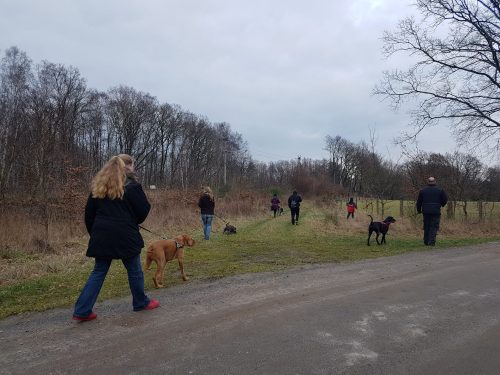 SOKO Wuff Krimiwanderung "Mord auf der Maibockjagd" @ Uelzen - Niedersachsen