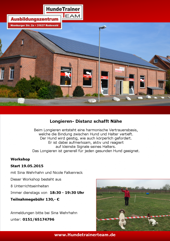 workshop longieren