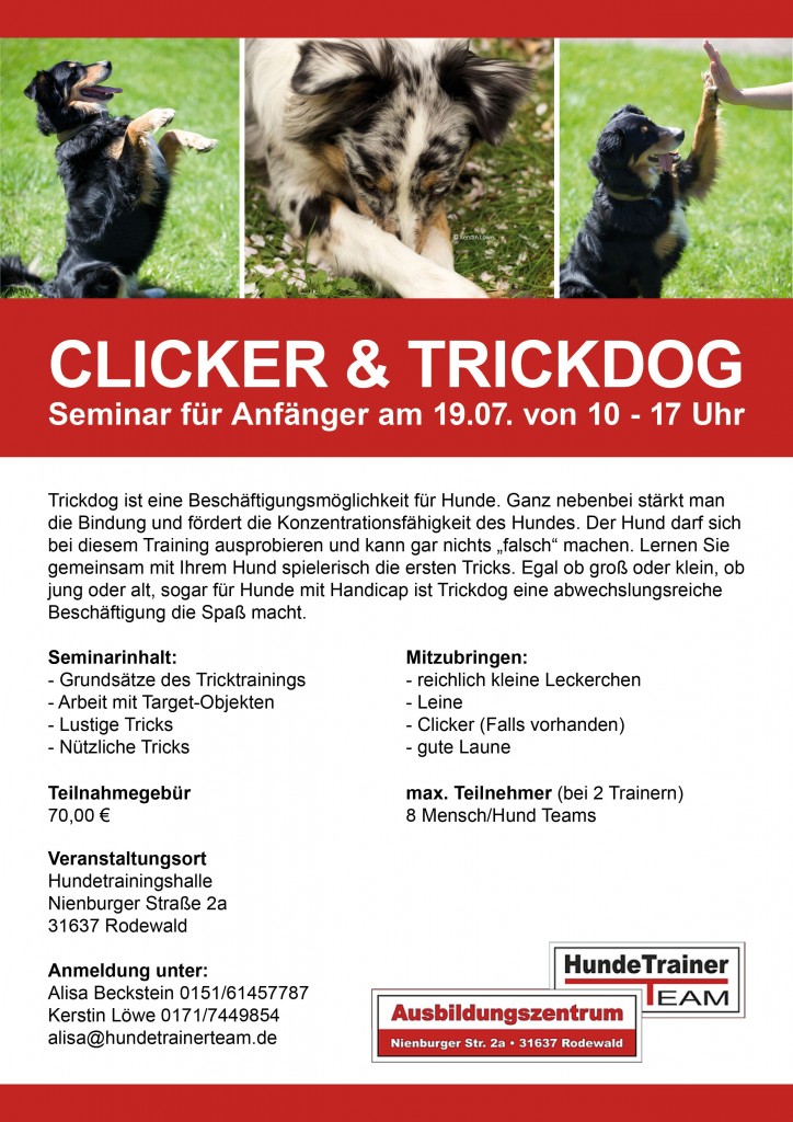 Trickdog Seminar