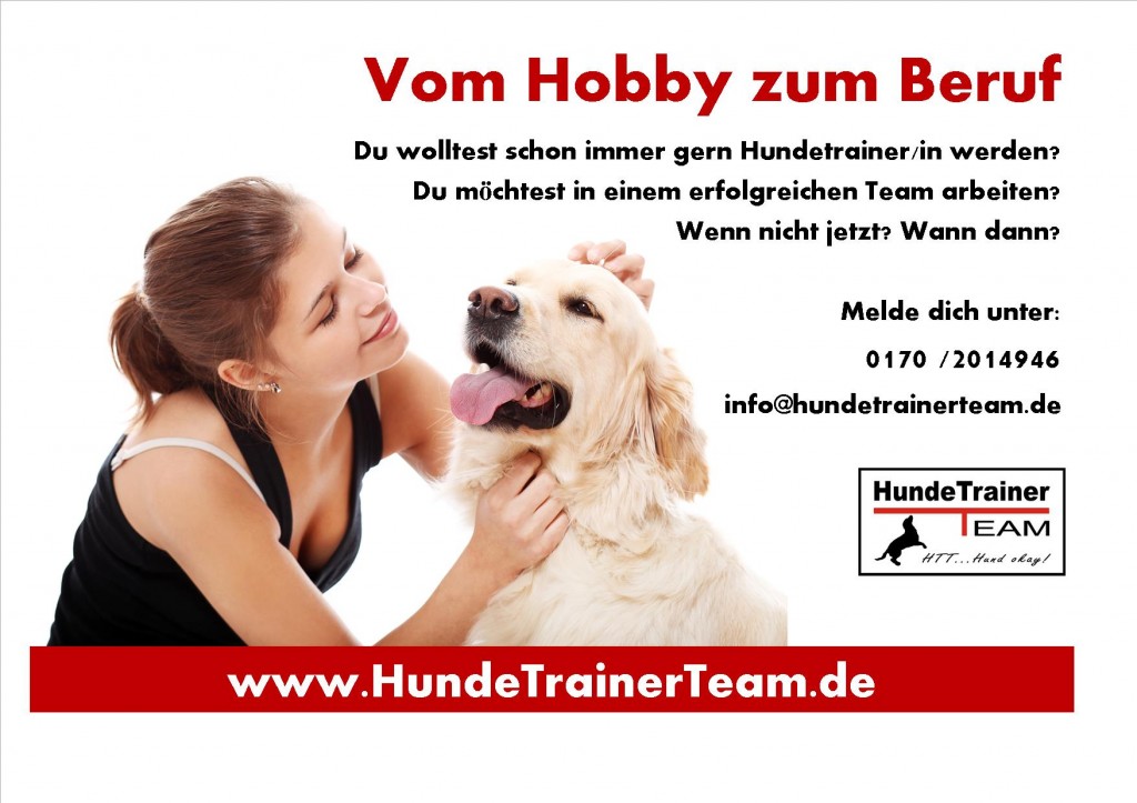 ebay ausbildung Hundetrainerteam werbung