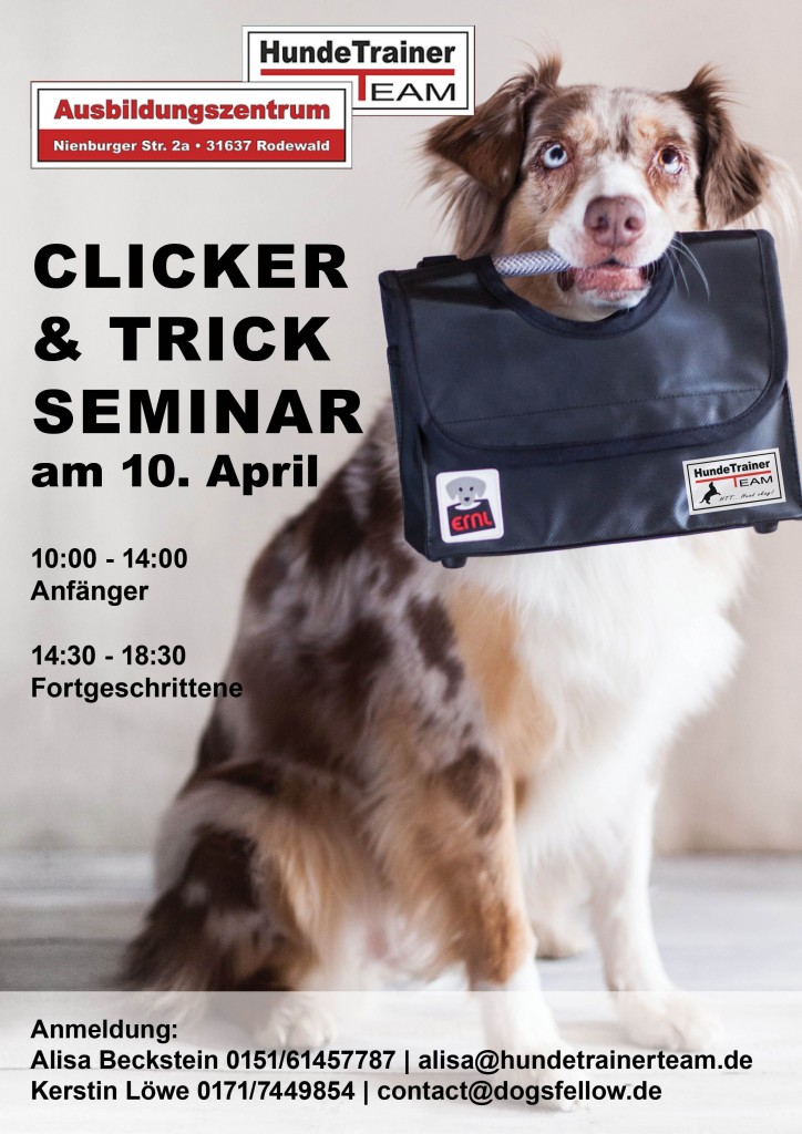 plakat-trickdog HundeTrainerTeam