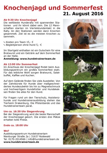 Flyer-Knochenjagd3