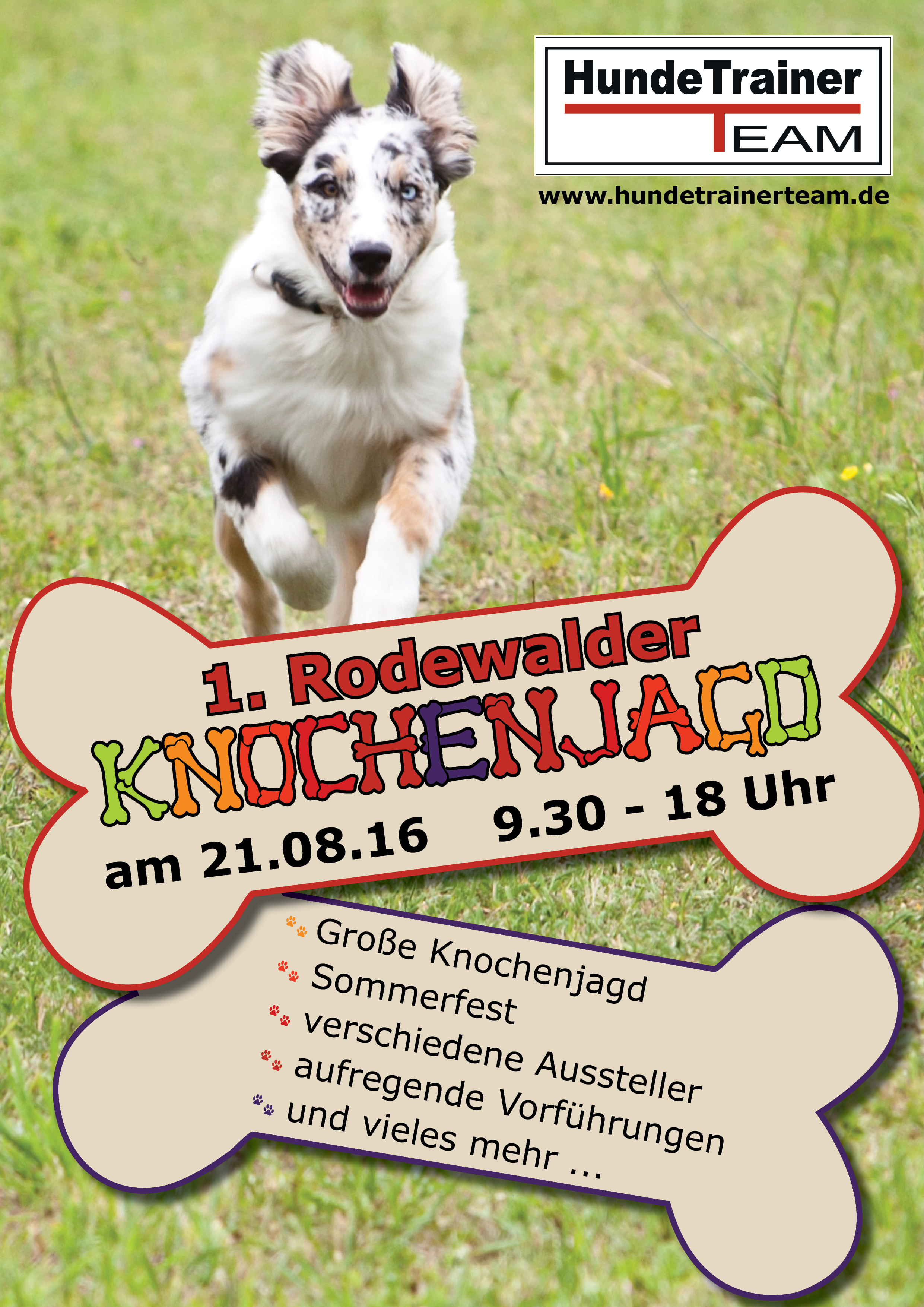 HundeTrainerTeam Knochenjagd Rodewald 21.08.2016