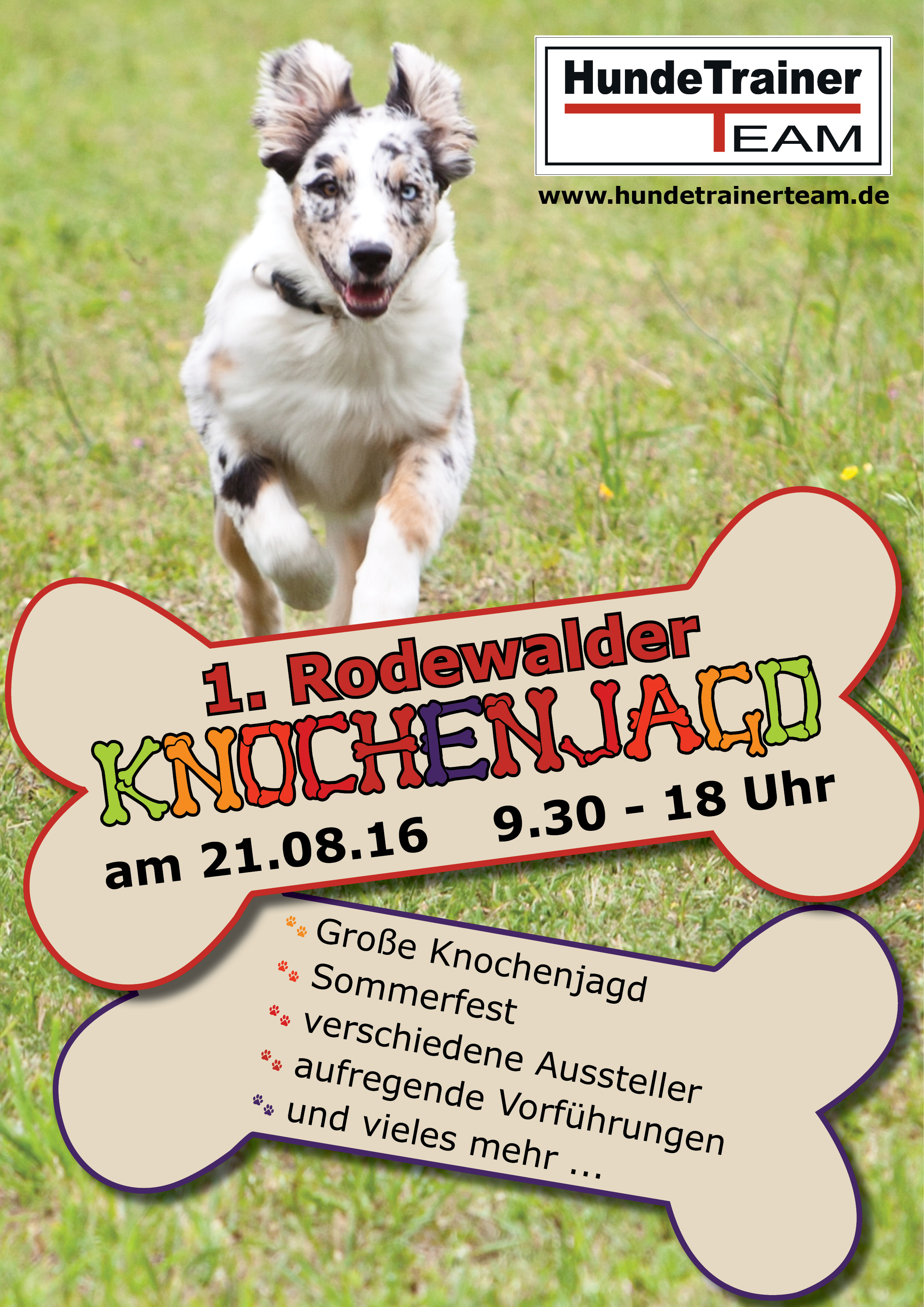 HundeTrainerTeam Knochenjagd Rodewald 21.08.2016