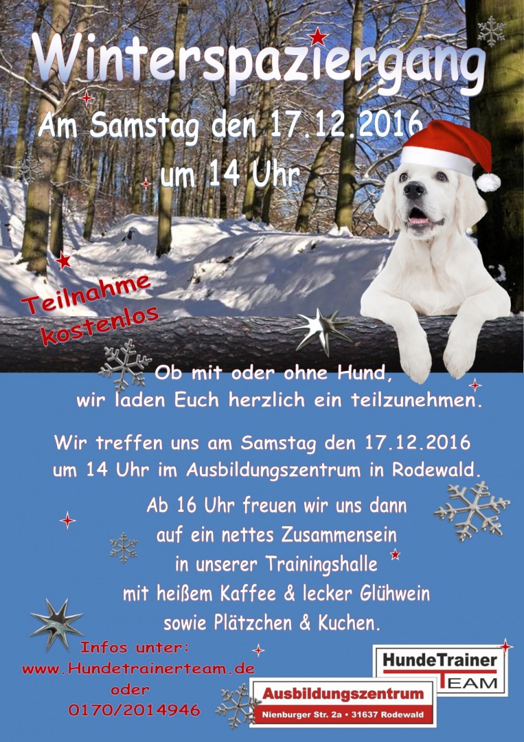 winterspaziergang-HundeTrainerTeam