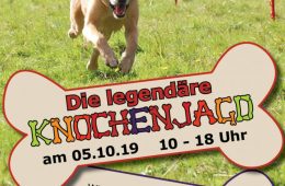 Flyer-Knochenjagd2019-761x1080