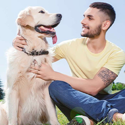 Ausbildung zum Hundetrainer